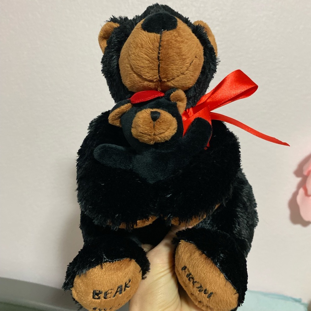 Sold on m Bear hugs from Lake Tahoe mama bear holding baby